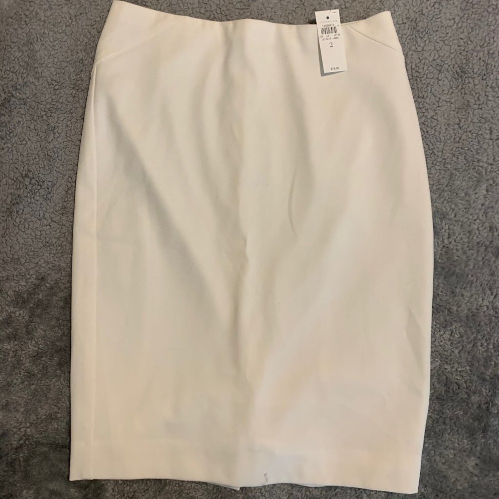Ann Taylor skirt